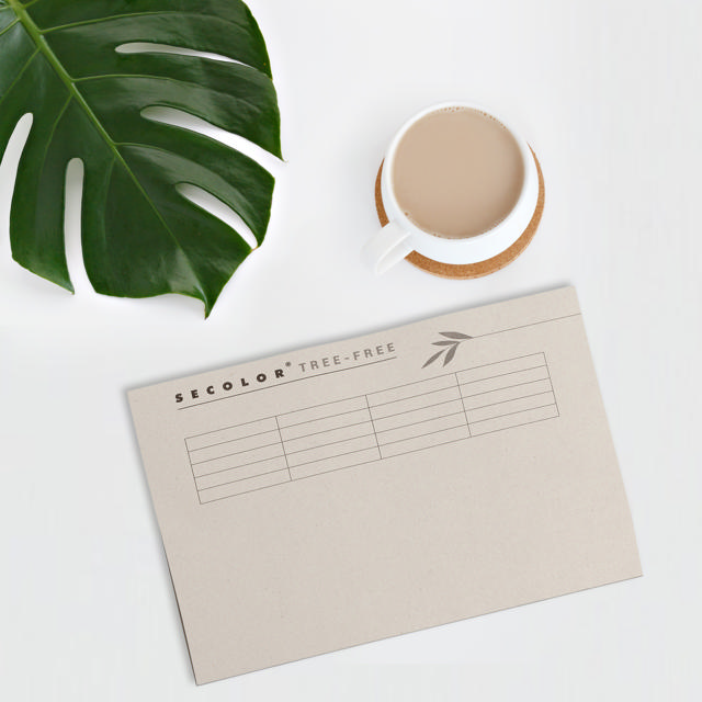 Secolor Tree-Free | Dokumentomslag | Folio