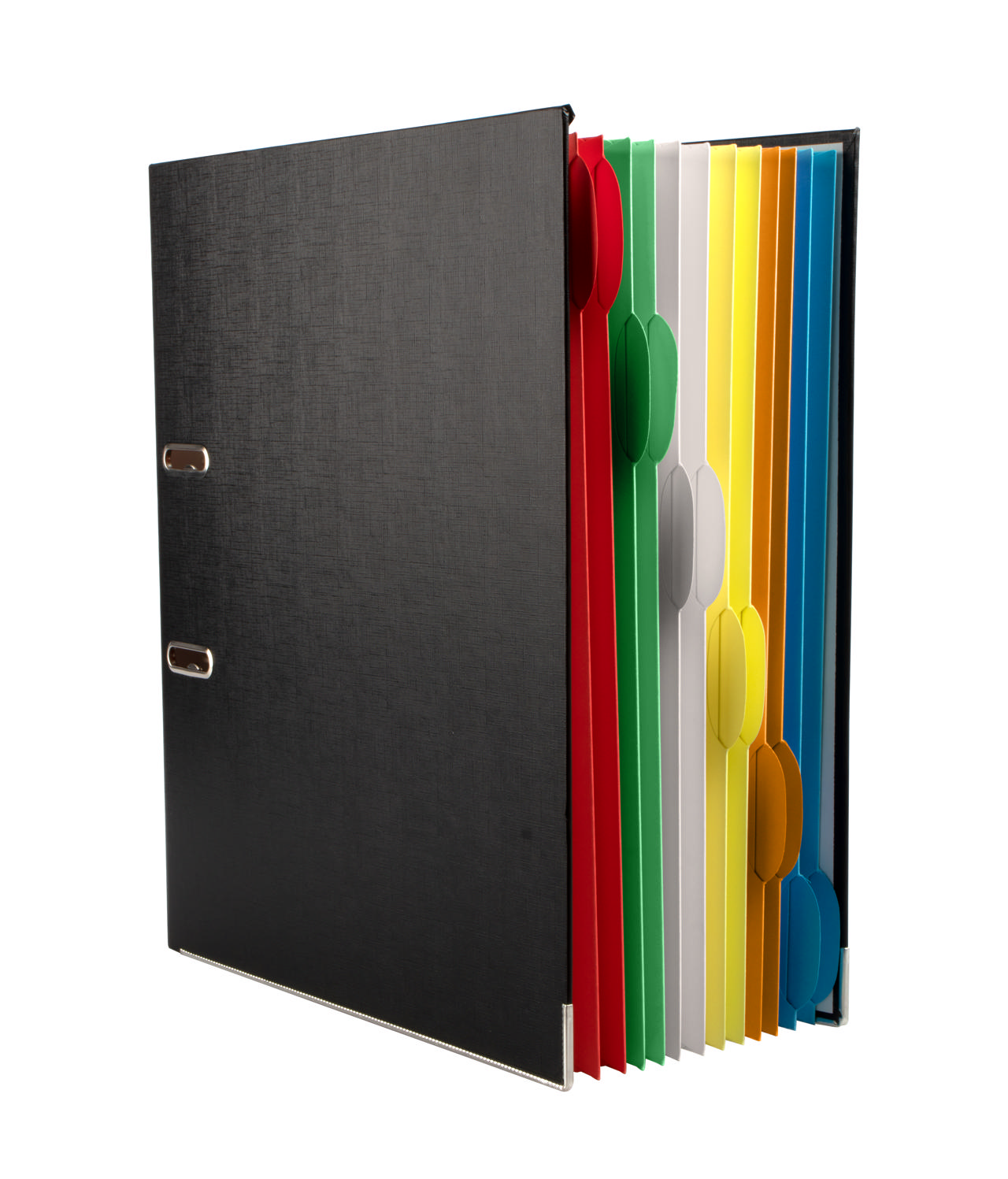 Binder med 12 Smartfolder-perforerede mapper med faner, A4
