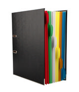 Binder med 12 Smartfolder-perforerede mapper med faner, A4