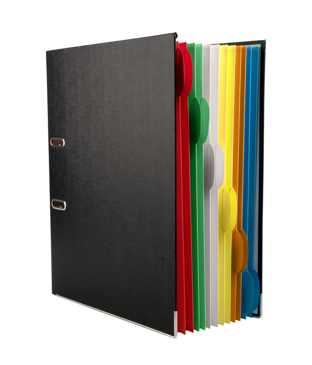 Binder med 12 Smartfolder-perforerede mapper med faner, A4